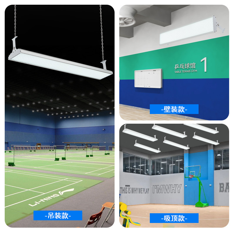Badminton, basketball, table t - Hall Table Tennis recension och pris